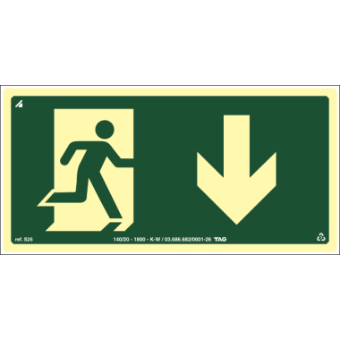 Placa Fotoluminescente - Sinalização de Saída Seta Desce 24cm x 12cm