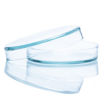 Placa De Petri Boro 100X15 Mm Precision 1471 1